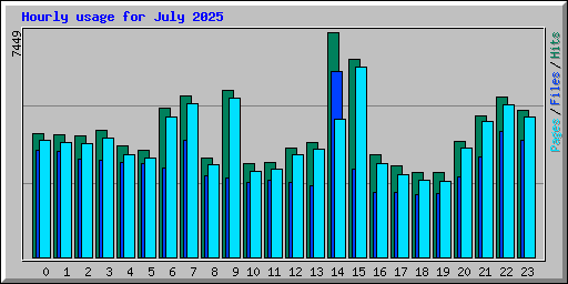 Hourly usage for July 2025