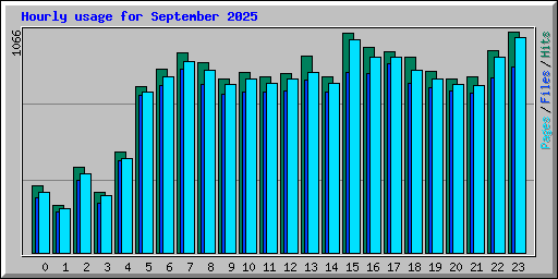 Hourly usage for September 2025