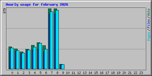 Hourly usage for February 2026